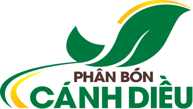 HCNB Logo